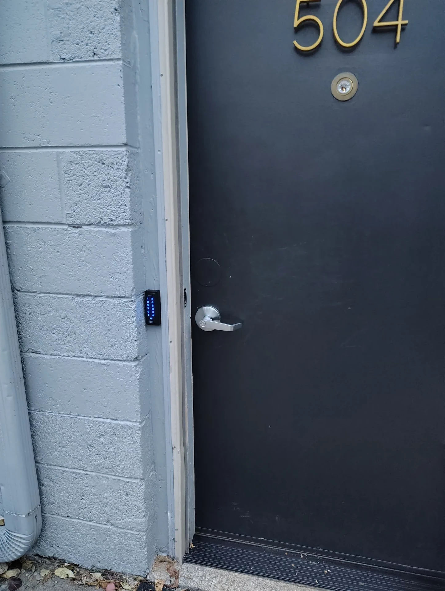 High Security Padlock and Deadbolt Service